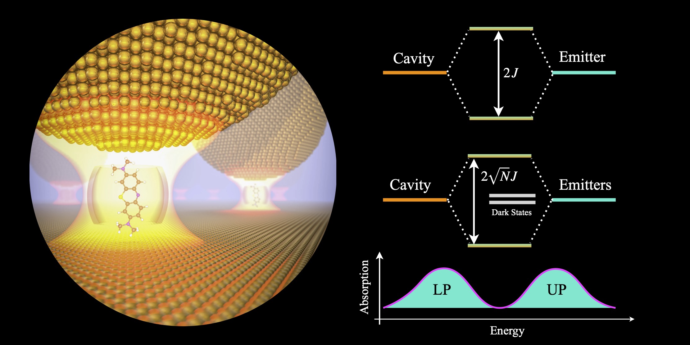 research_plasmon_im